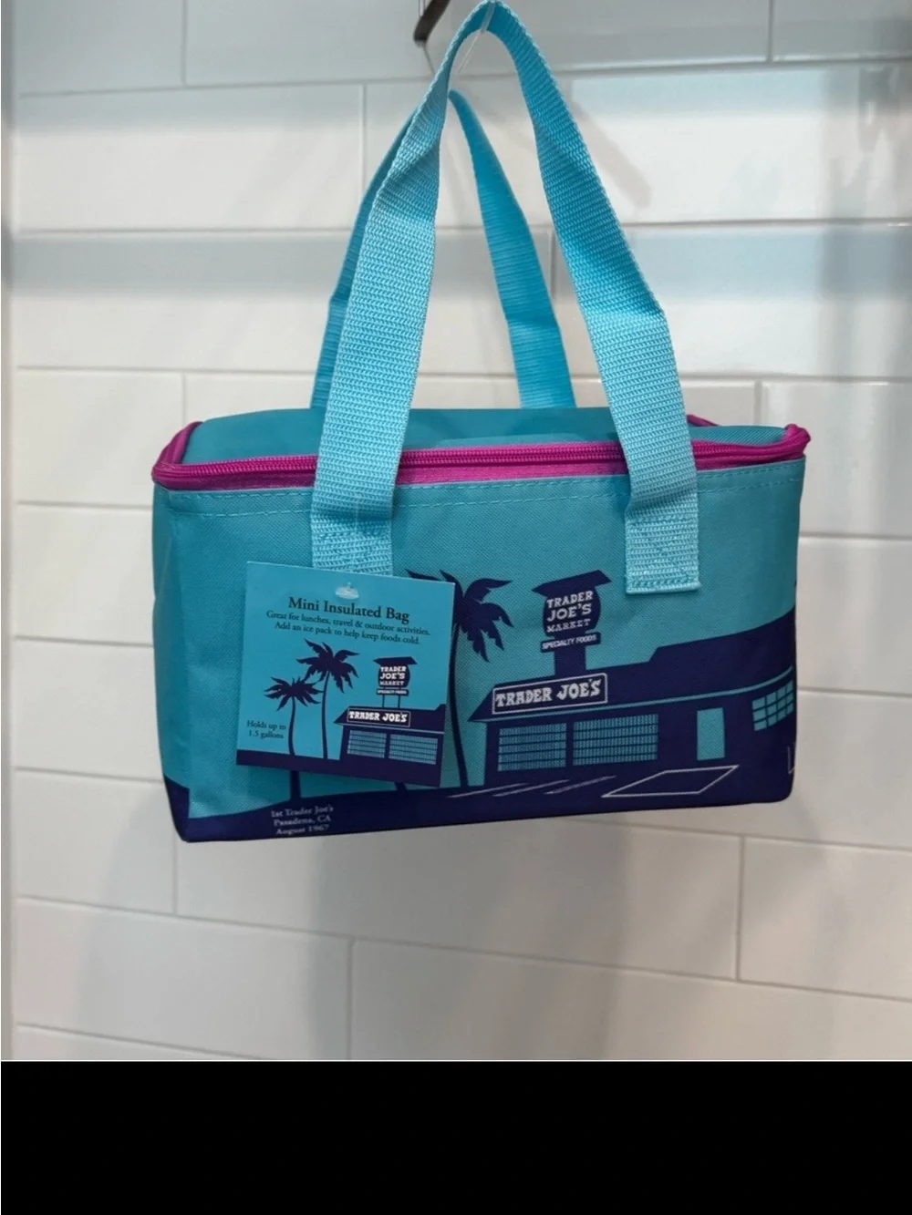 Trader Joe’s mini insulated freezer bags. Limited edition.